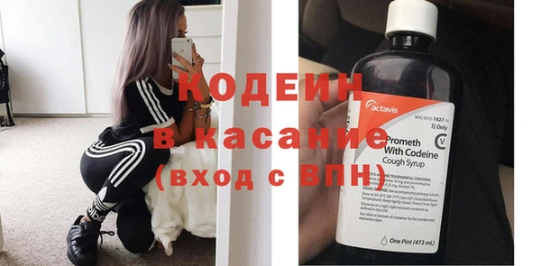 прущие грибы Арсеньев