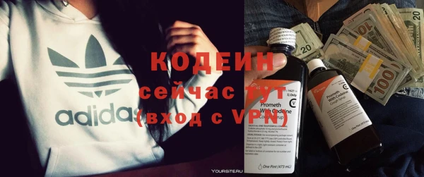 прущие грибы Арсеньев