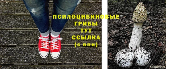 прущие грибы Арсеньев