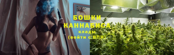 прущие грибы Арсеньев